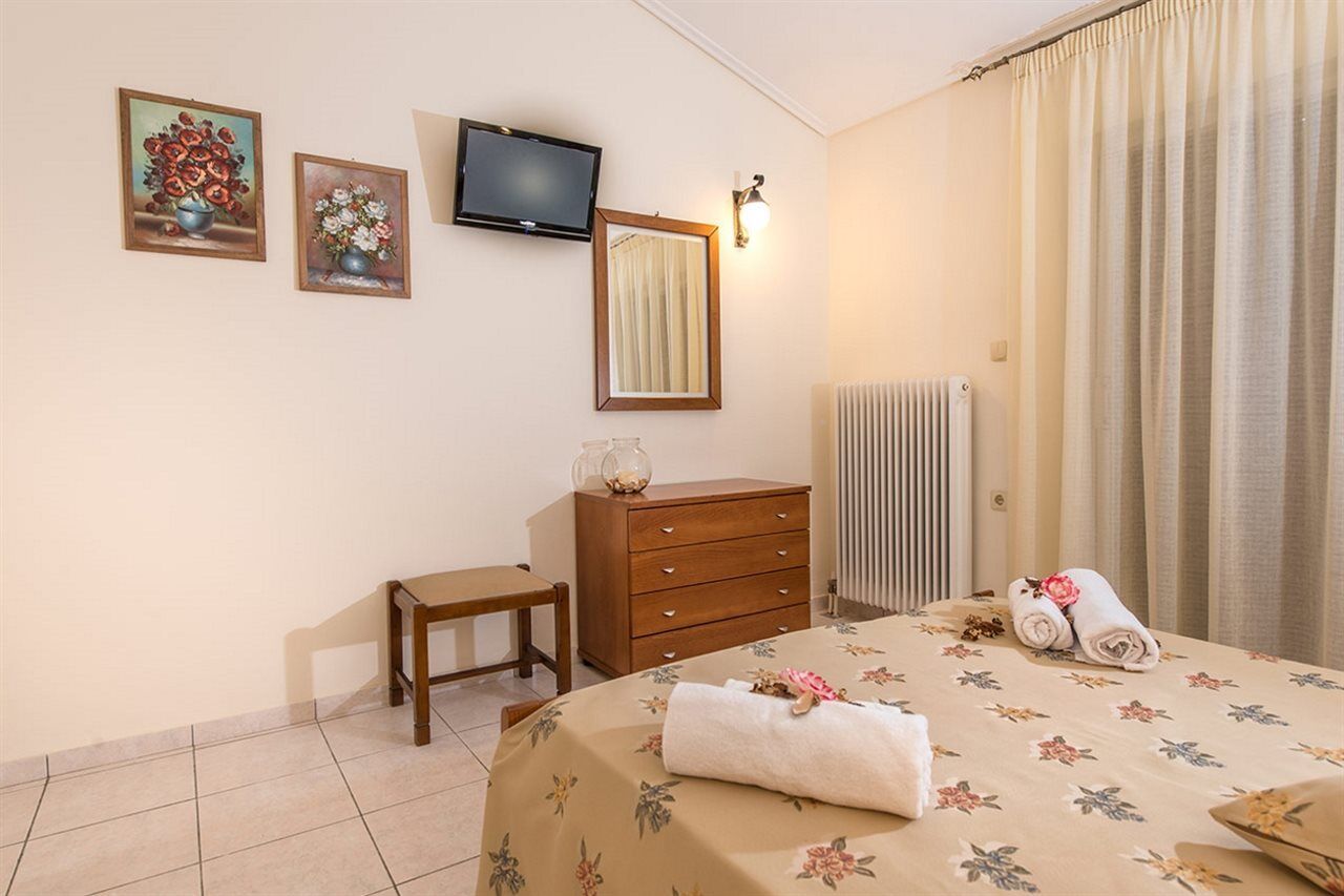 Anamar Zante Argassi